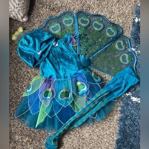 Gymboree Halloween Peacock Costume